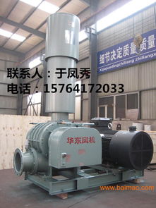 生產銷售hdsr50 350二葉三葉羅茨風機,生產銷售hdsr50 350二葉三葉羅茨風機生產廠家,生產銷售hdsr50 350二葉三葉羅茨風機價格