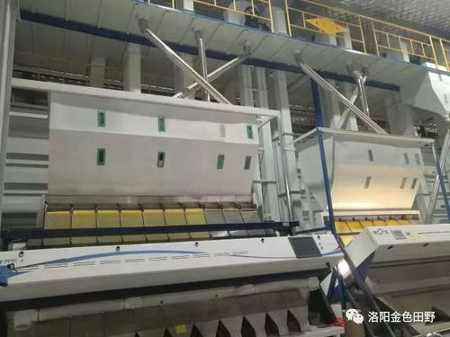 小米營養價值高,美容養顏功效好